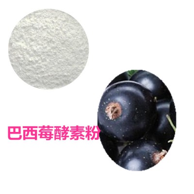 巴西莓酵素粉  巴西莓膳食纤维 巴西莓粉  巴西莓提取物