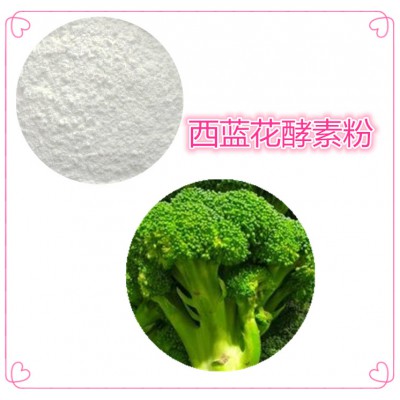 西蓝花酵素粉 西蓝花膳食纤维 西蓝花粉  西蓝花提取物