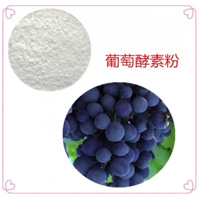 葡萄酵素粉 葡萄膳食纤维 葡萄粉 葡萄提取物