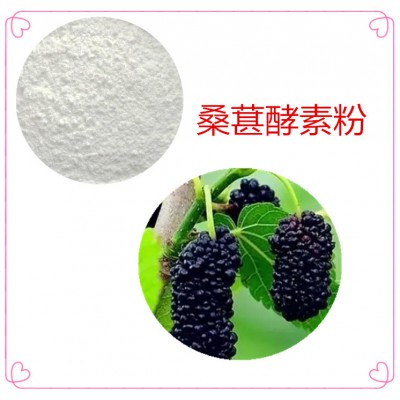 桑葚酵素粉 桑葚膳食纤维 桑葚粉 桑葚提取物