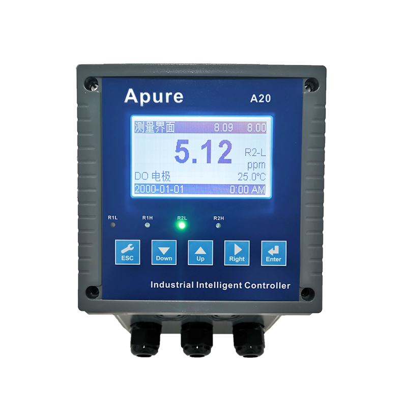 Summer beach concept