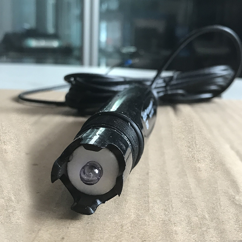 Summer beach concept