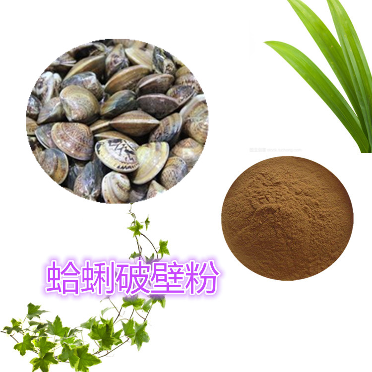 Summer beach concept