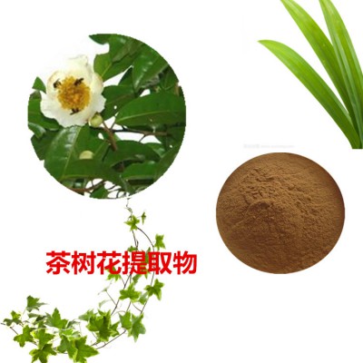 茶树花提取物  茶树花粉  茶树花浸膏  茶树花提取液
