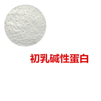 初乳碱性蛋白  牛初乳粉