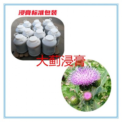 大蓟浸膏   大蓟提取液  大蓟浸膏粉 大蓟提取物