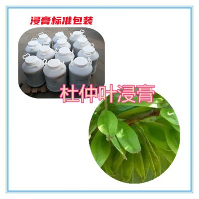 杜仲叶浸膏 杜仲叶提取液  杜仲叶浸膏粉 杜仲叶提取物