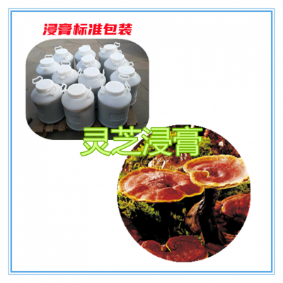 灵芝浸膏 灵芝提取液 灵芝浸膏粉 灵芝提取物