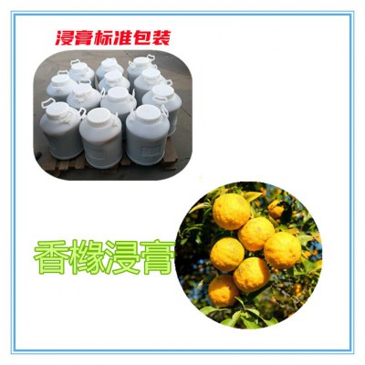 香橼浸膏  香橼浸膏粉 香橼提取物 香橼粉
