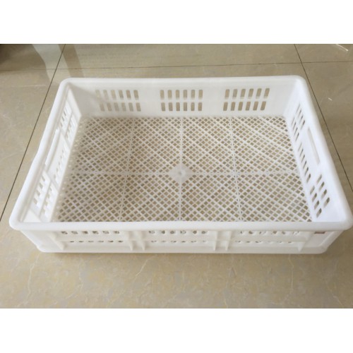 批发塑料单冻器 单冻筐  肉串速冻盘