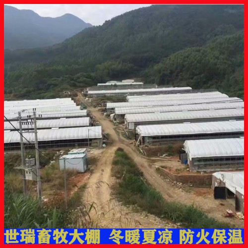 全封闭养鸡大棚建设 肉鸡养殖棚搭建 蛋鸡舍施工安装