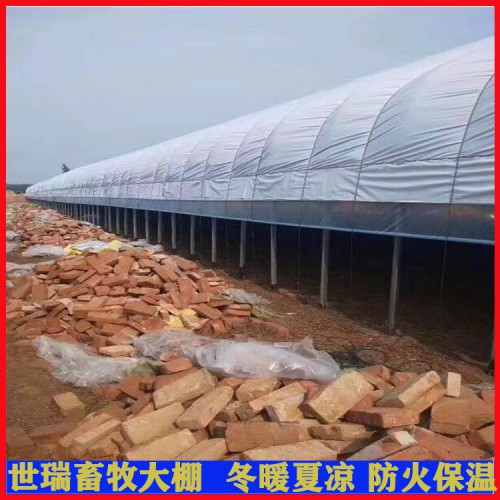 蛋鸭养殖大棚建设 养鸭棚施工安装 肉鸭养殖棚搭建厂家