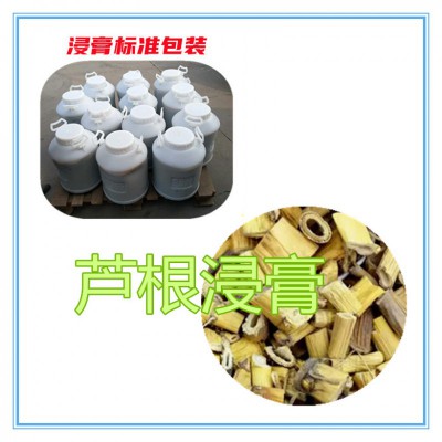 芦根浸膏 芦根浸膏粉 芦根提取物 芦根粉