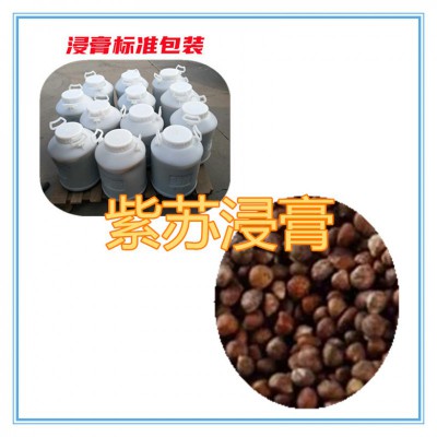 紫苏浸膏 紫苏浸膏粉 紫苏提取物 紫苏粉