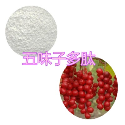 五味子肽粉 五味子小分子肽 五味子蛋白 五味子多糖