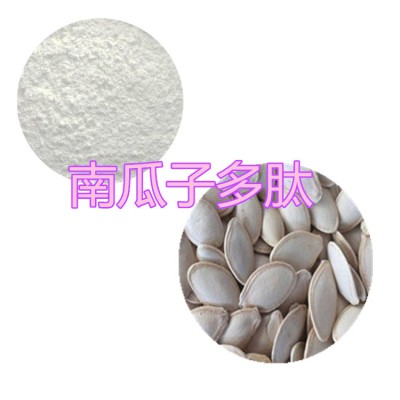 南瓜子肽粉 南瓜子小分子肽 南瓜子蛋白 南瓜子粉