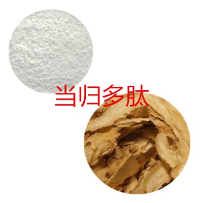 当归肽粉 当归小分子肽 当归蛋白 当归粉