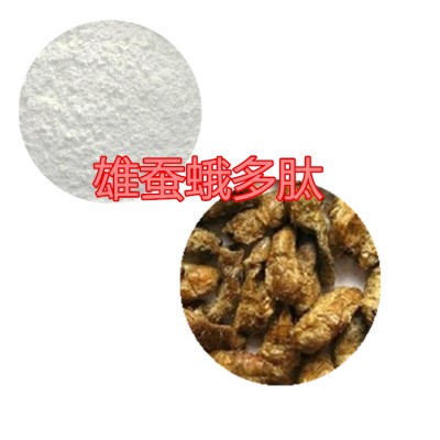 雄蚕蛾肽粉 雄蚕蛾小分子肽 雄蚕蛾蛋白 雄蚕蛾粉