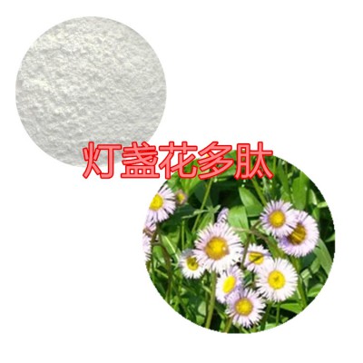 灯盏花肽粉 灯盏花小分子肽 灯盏花蛋白 灯盏花粉