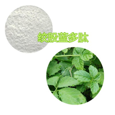 绞股蓝肽粉 绞股蓝小分子肽 绞股蓝蛋白 绞股蓝粉
