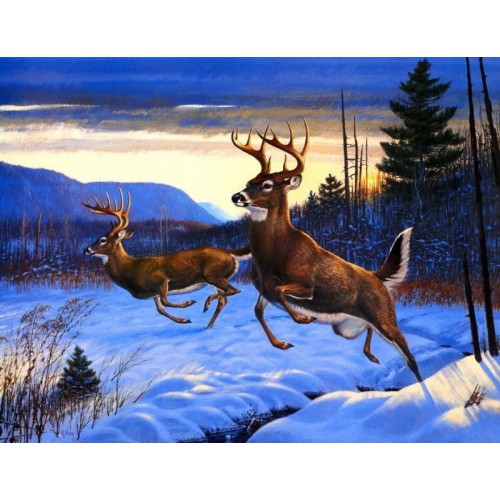 纯手绘油画动物油画 纯手绘油画