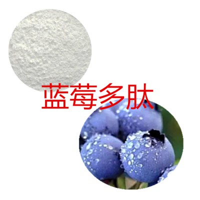 蓝莓肽粉 蓝莓小分子肽  蓝莓蛋白 蓝莓粉