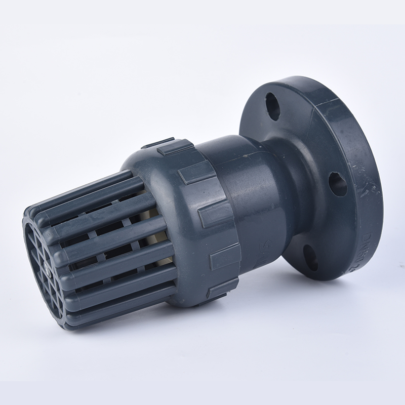 Summer beach concept