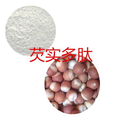 芡实肽粉 芡实小分子肽 芡实蛋白 芡实提取物