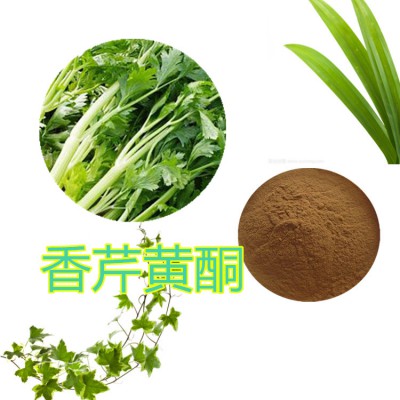 香芹黄酮 香芹提取液 香芹提取物 香芹粉