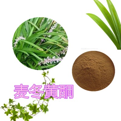 麦冬黄酮 麦冬提取液 麦冬提取物  麦冬粉