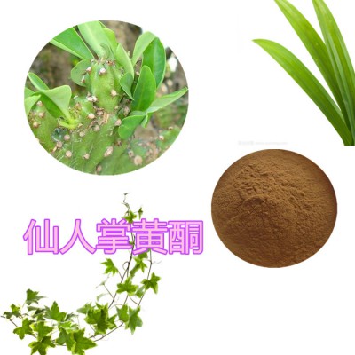 仙人掌黄酮 仙人掌提取液 仙人掌提取物  仙人掌粉