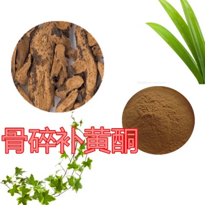 骨碎补黄酮 骨碎补提取液 骨碎补提取物  骨碎补粉