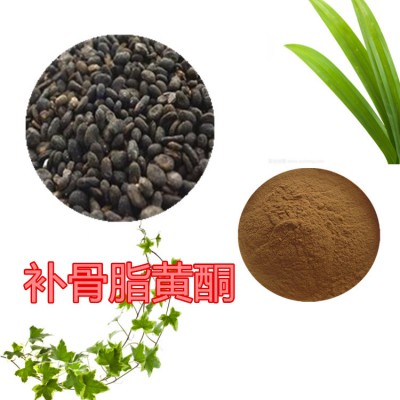 补骨脂黄酮 补骨脂提取液 补骨脂提取物  补骨脂粉