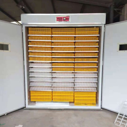 孵化出壳育雏一体三用机 孵化机多少钱一台 孵化器的价格