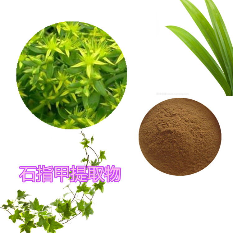 Summer beach concept