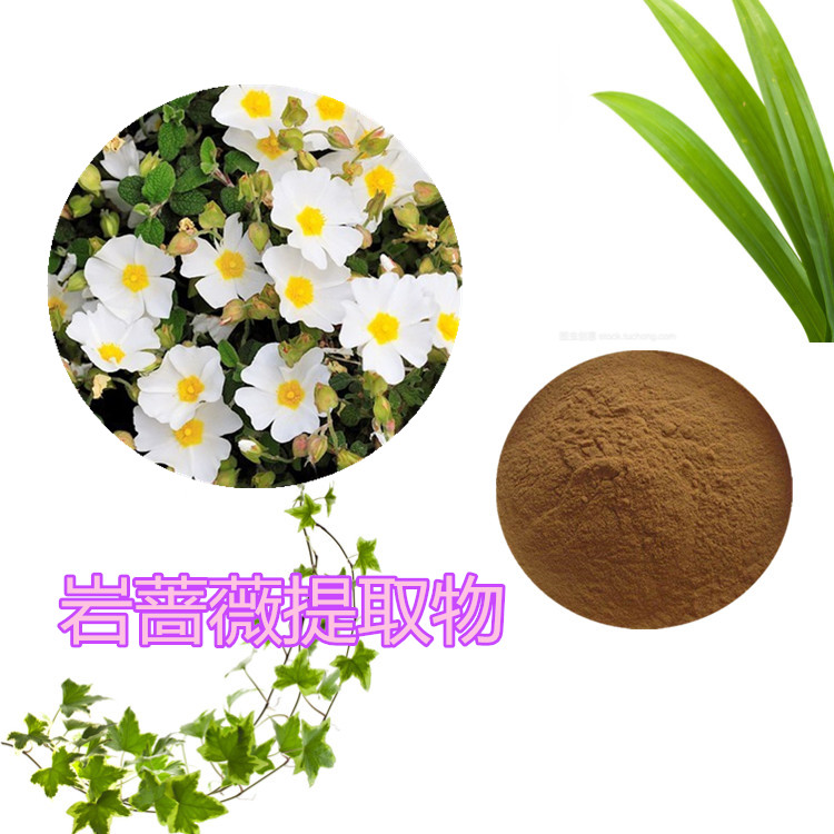 Summer beach concept