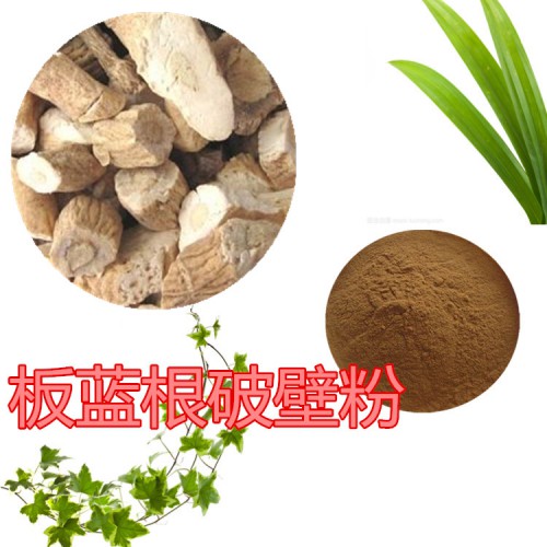 板蓝根提取物  板蓝根浸膏   板蓝根破壁粉 板蓝根提取液