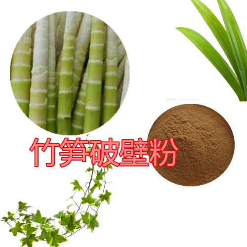 竹笋提取物  竹笋浸膏 竹笋粉  竹笋破壁粉 竹笋提取液