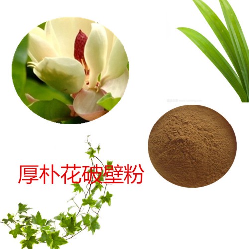 厚朴提取物  厚朴膏 厚朴粉  厚朴破壁粉
