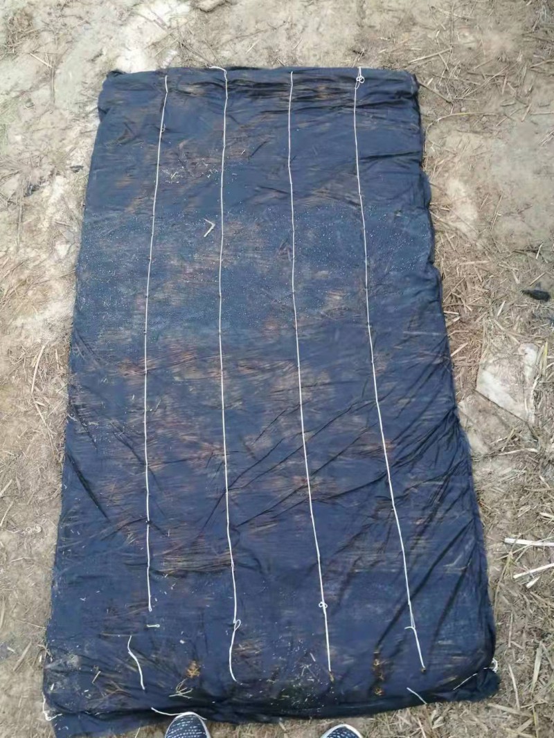 微信图片_20211022144233