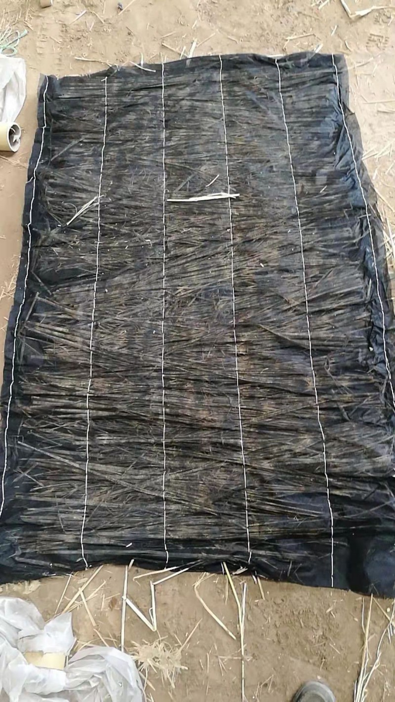 微信图片_202110221442332