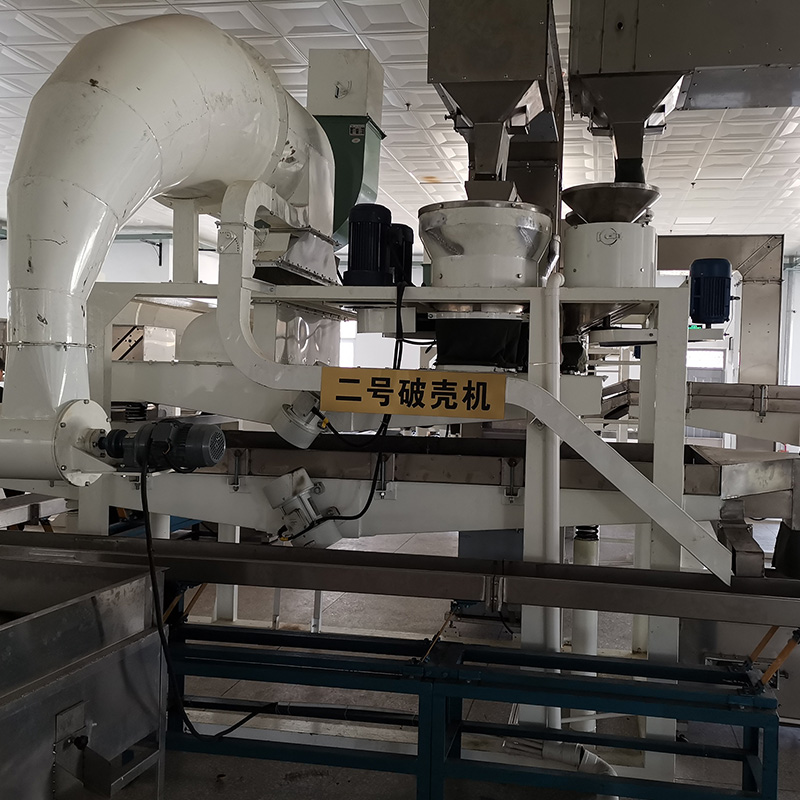 Summer beach concept