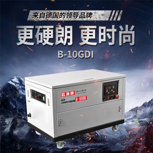 云控制30kw汽油发电机 欧洲狮动力B-30GDI