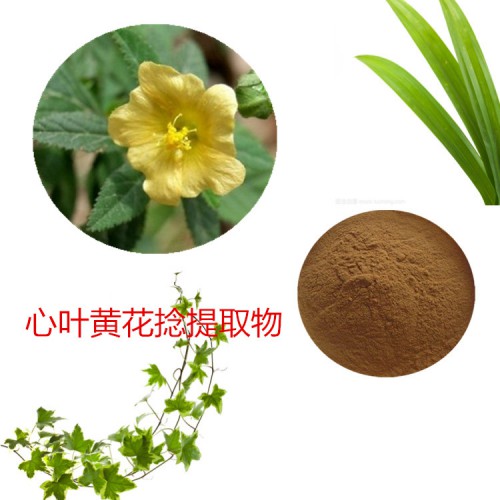 心叶黄花粉 心叶黄花提取物  心叶黄花破壁粉 心叶黄花浸膏