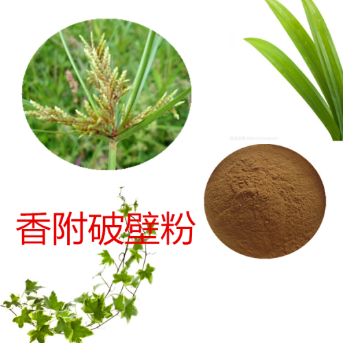香附粉 香附提取物 香附破壁粉 香附浸膏