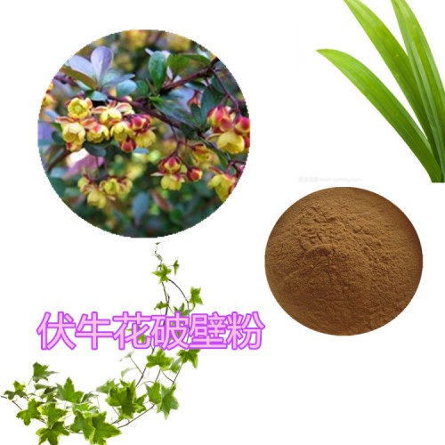 伏牛花破壁粉 伏牛花提取物  伏牛花粉  伏牛花浸膏