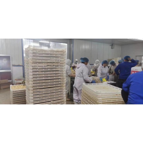 厂家直销 速冻饺子盘 海鲜速冻盘 速冻盘丝花卷