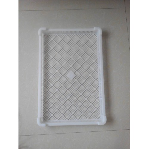 速冻盘 食品级塑料单冻盘 冷冻盘