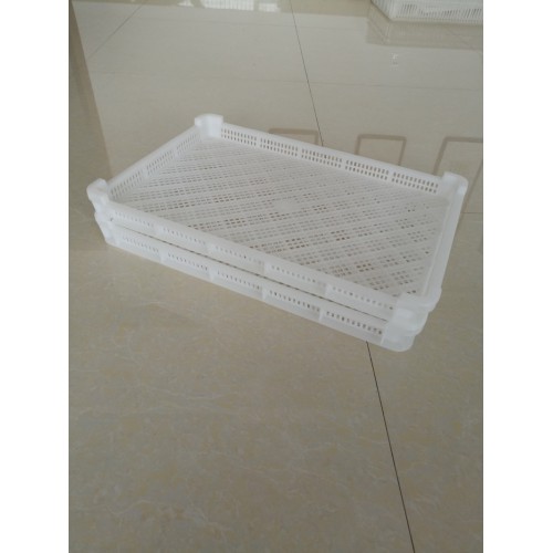 烘干盘 冷冻盘子 抗冻性塑料单冻盘