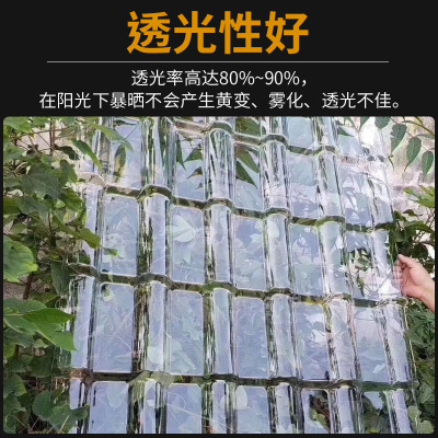 Summer beach concept